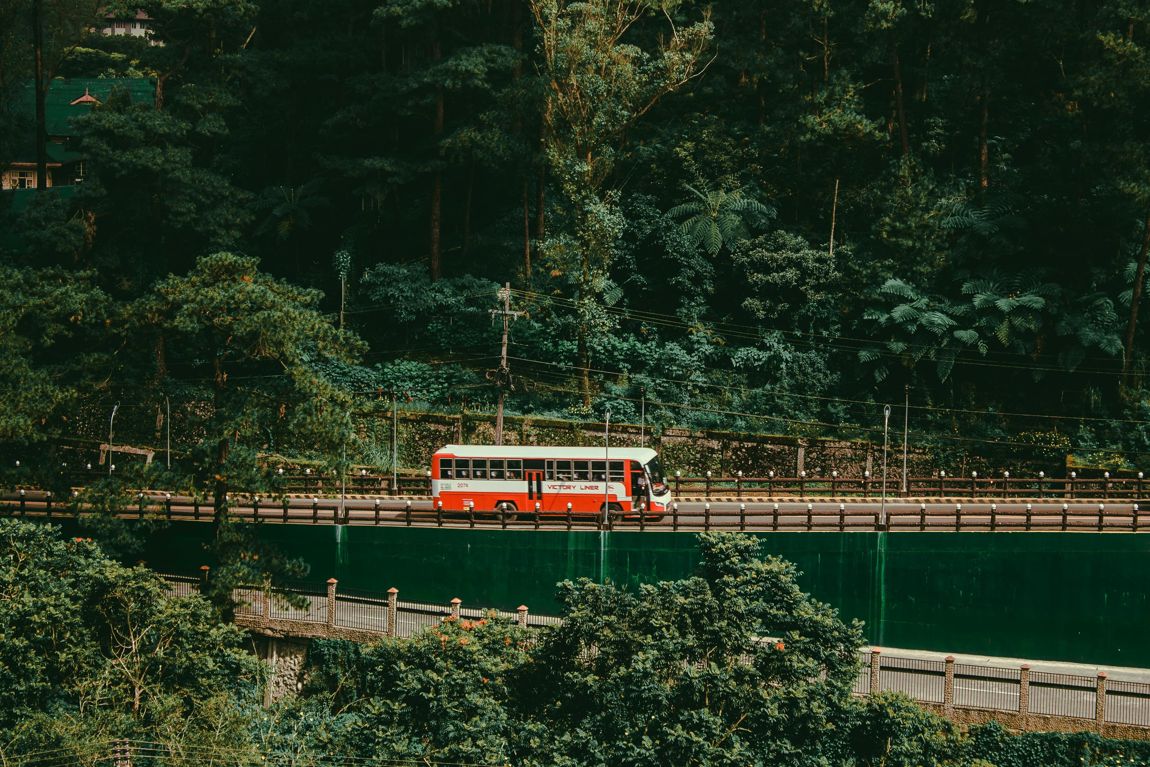 Bus on the way